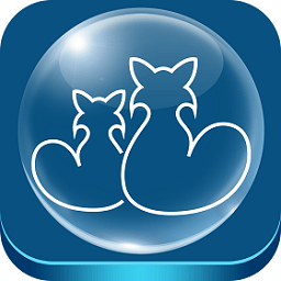 开云线上官方的功能介绍与使用指南